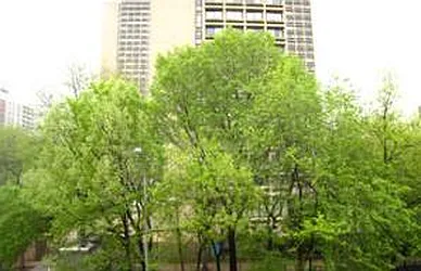 Rented by Carol Quatrone