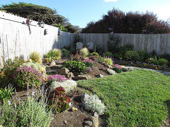 Back yard