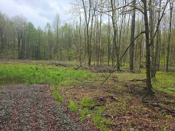 80 Fuller Rd, Greene, NY 13778
