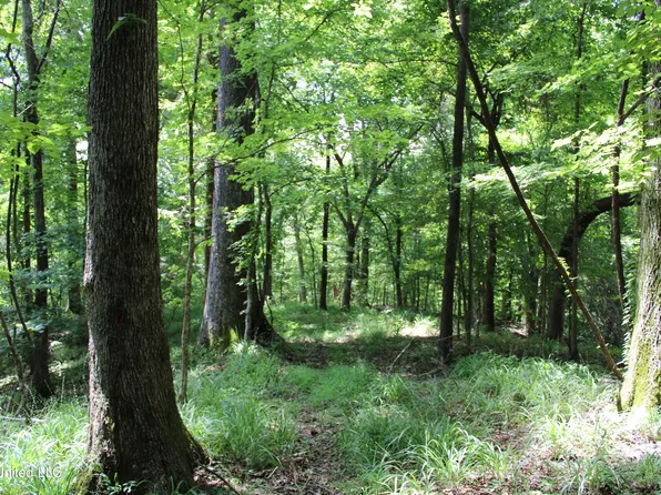 4001 Perry Creek Rd, Yazoo City, MS 39194