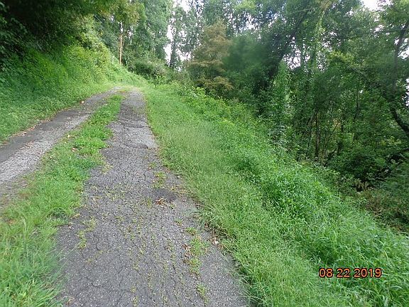 4th image of 16 Oleander Ln