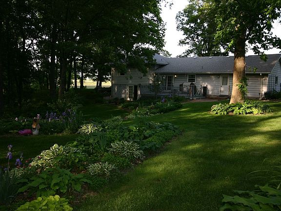 Backyard2 - April 2007