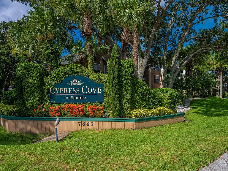 Cypress Cove