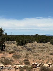 - Section 9,T14N,R16E:N2 Sw4 Nw4 -- #--, Heber, AZ, 85928