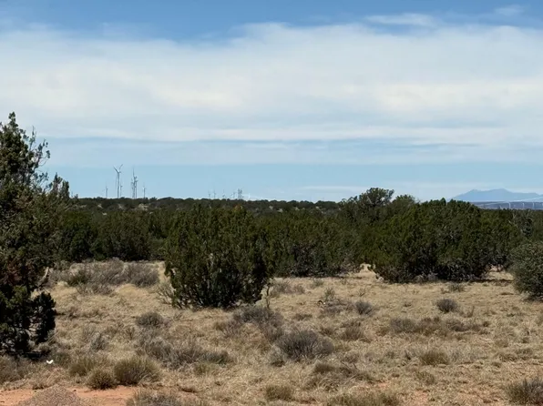 - Section 9,T14N,R16E:N2 Sw4 Nw4 -- #--, Heber, AZ 85928