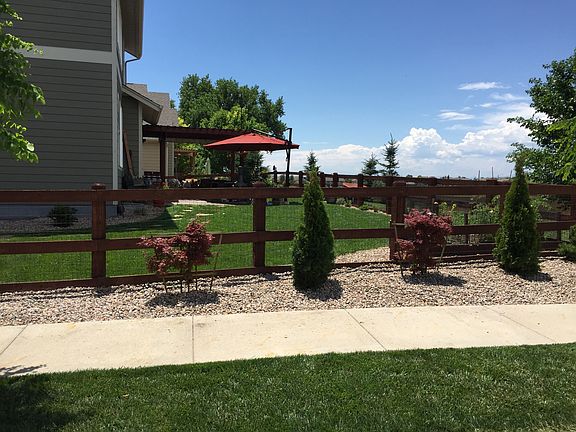 Back yard