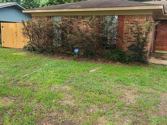 Privacy Hedges across front windows