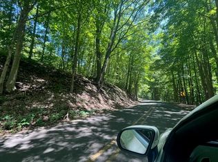 PARCEL Old Douglas Ave #C, Kalamazoo, MI 49004