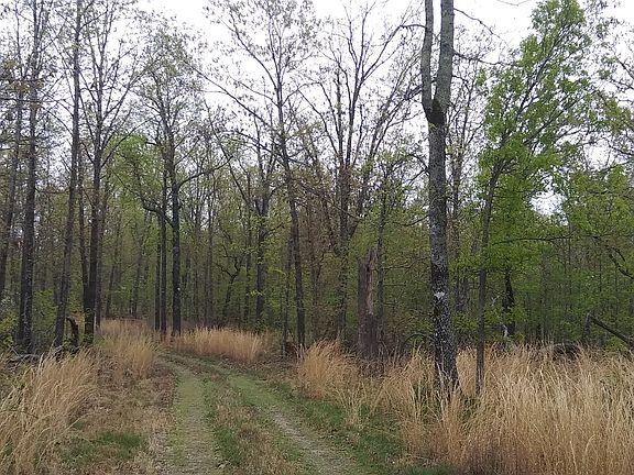 4th image of 9306 County Road 9790