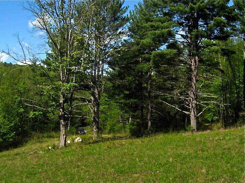 4th image of 0 BEATTIE HOLLOW Road