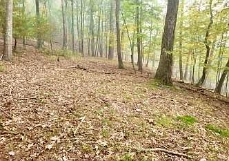 2nd image of 11 Autumn Ct