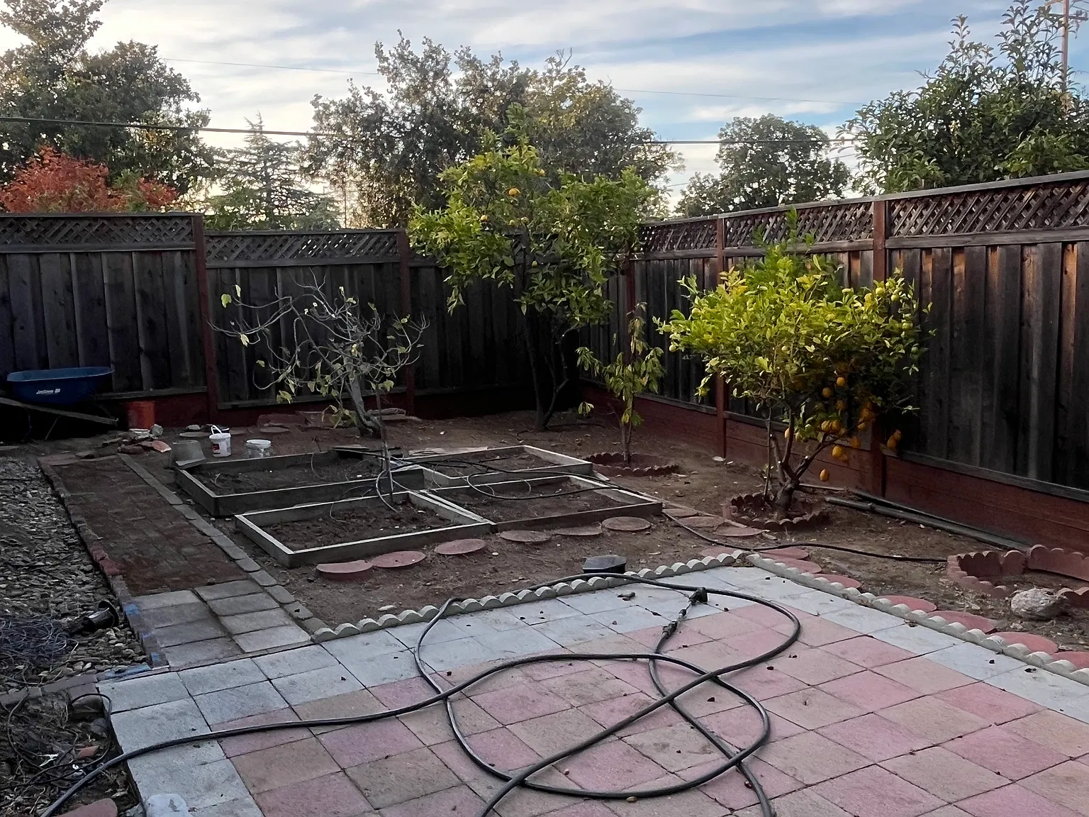 3 bed, 1625 sqft, $5,600 — Photo 4