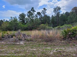 22 Malauka Pass Way, Ocklawaha, FL 32179