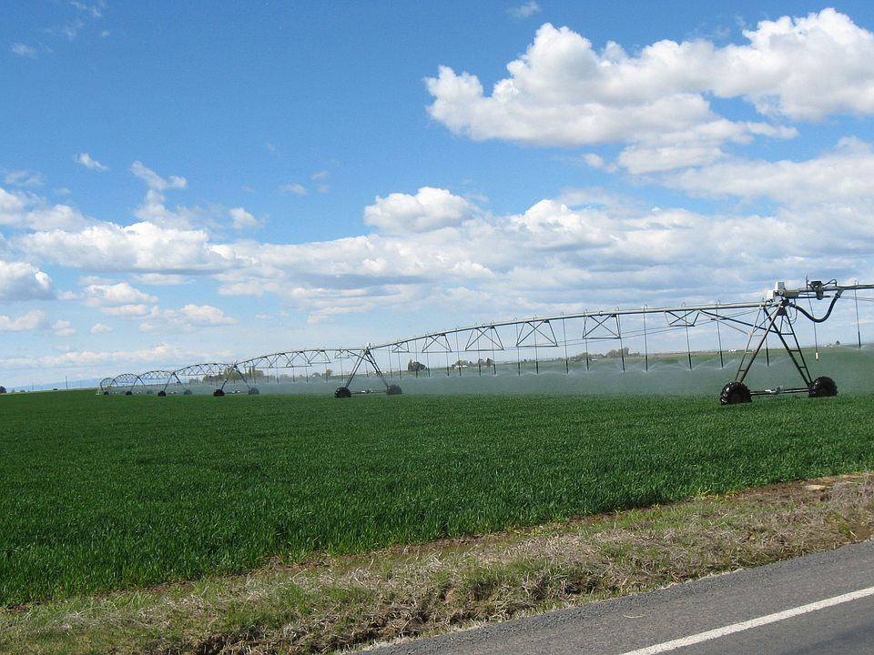 1st image of Hwy 170 Fu #149