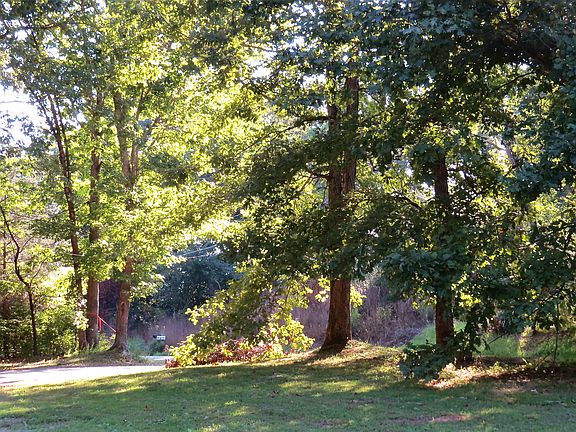 View of the Front Yard