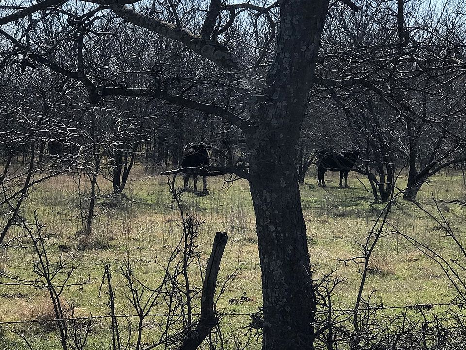 1st image of Winn Rd