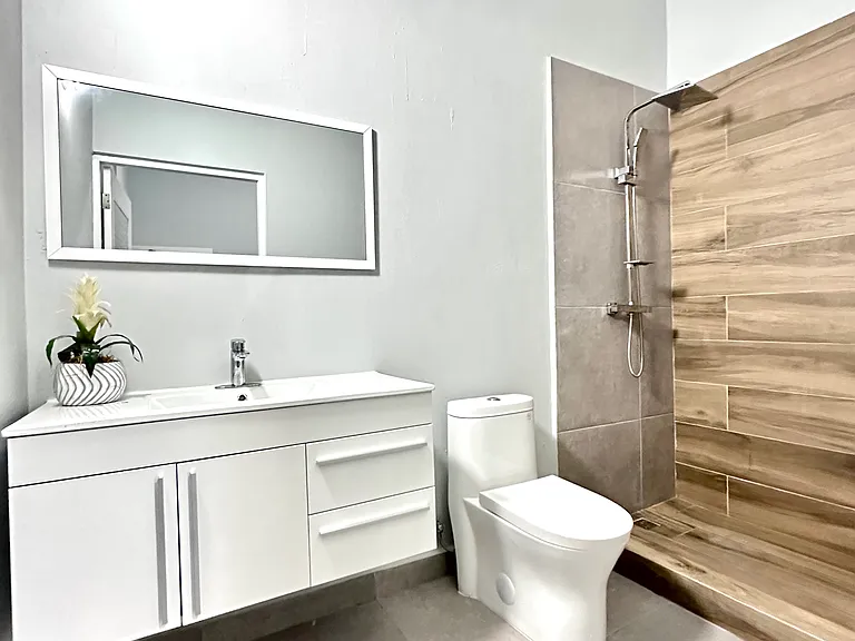 1504 Fernandez Juncos Ave #D — Photo 4