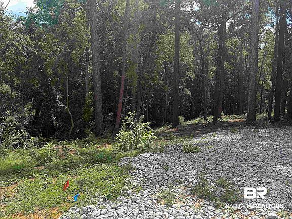 3rd image of 30379 Middle Creek Cir