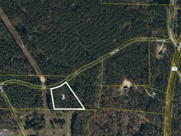 3 Todd Five, Senoia, GA 30276