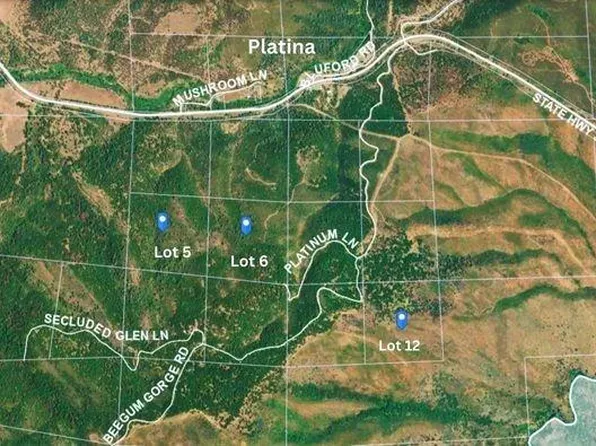 Platinum Ln, Platina, CA 96076
