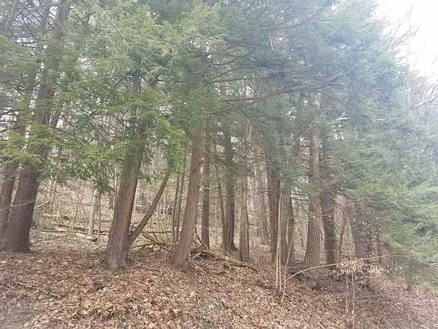 2nd image of Academy Hill Rd