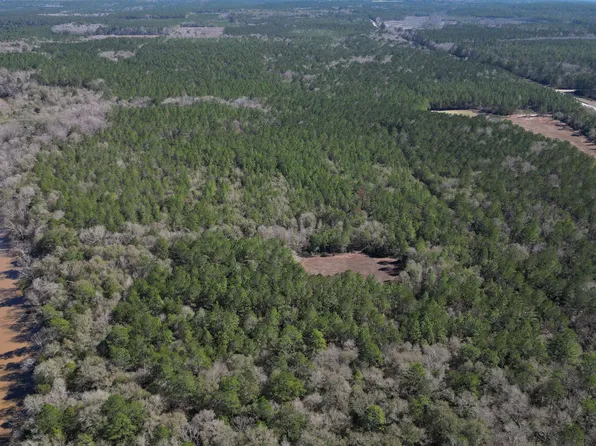 0 Off Hwy #29, Andalusia, AL 36420