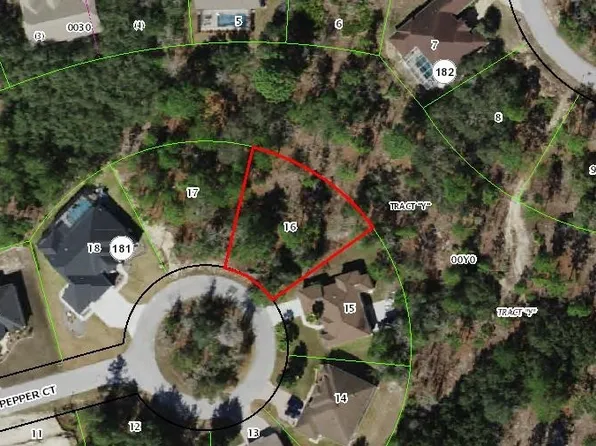 9 Pepper Ct, Homosassa, FL 34446