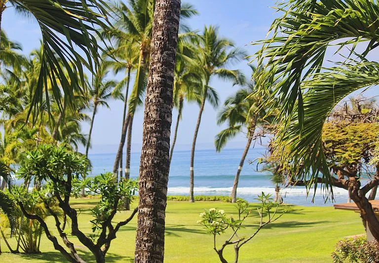 185 Pualei Dr #3 — Photo 6