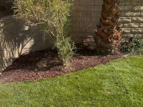 New sod back lawn and redone planter areas.
