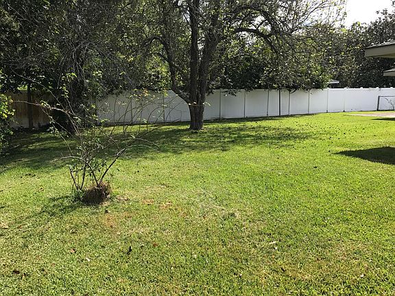 Back yard