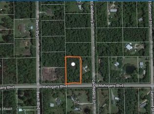 5390 Mahogany Blvd, Bunnell, FL 32110