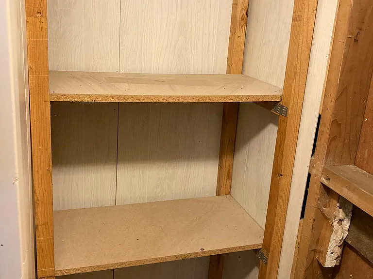 Closet with shelving in basement