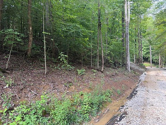 2nd image of 35 Low Ridge Rd