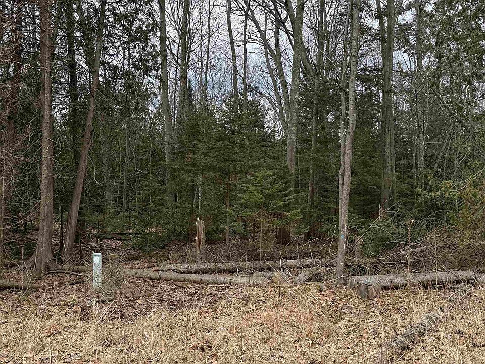2nd image of Woodlea Rd