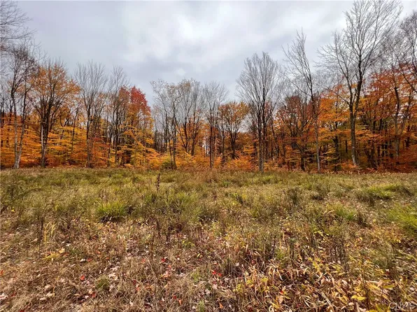 10068 Penfield Rd #17, Camden, NY 13316