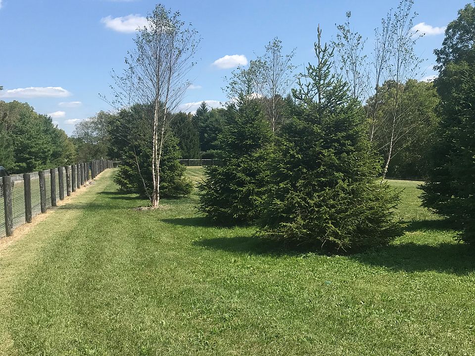 2nd image of 5865 Buechel Dr