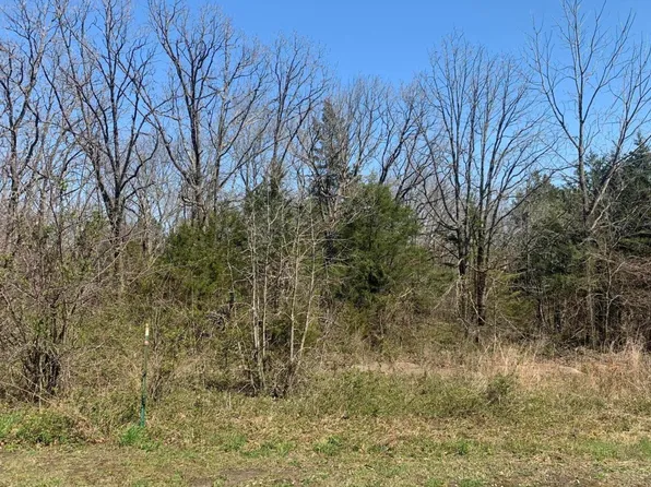 000 Dawn Drive Lot 21, Buffalo, MO 65622