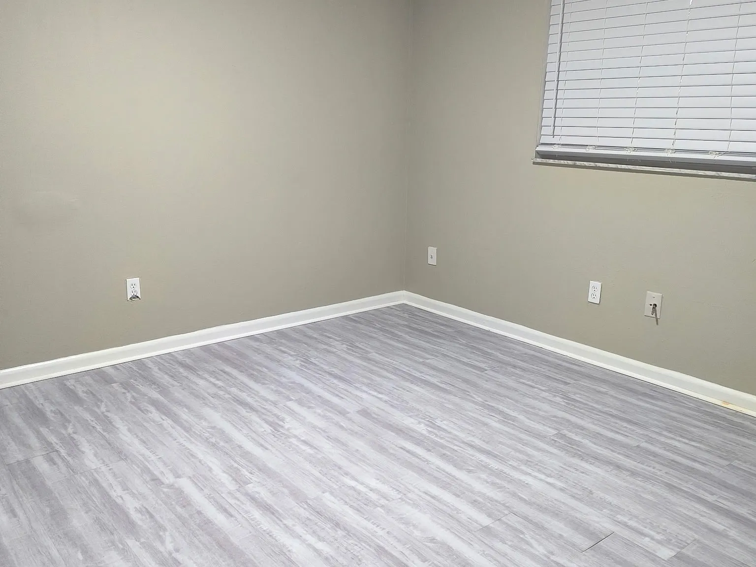 1538 Powder Ave — Photo 1