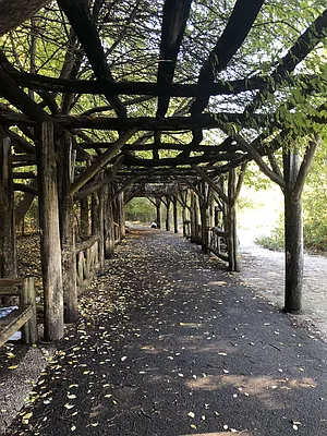 Rented by Space Real Estate | media 34