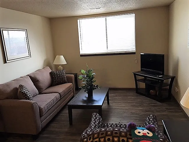 Nordic Villa Apartments — Photo 4