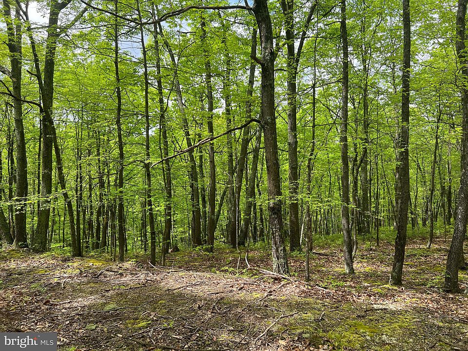 1st image of LOT 25 Jeremiah Way