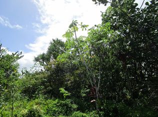 10th Ave LOT 1597, Keaau, HI 96749