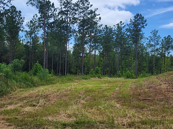 5th image of 1575 Purvis To Baxterville Rd