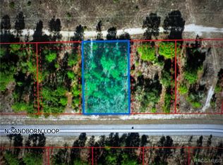 6866 N Sandborn Loop, Citrus Springs, FL 34433