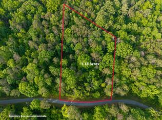 LOT 45 Hilton Dr, Ellijay, GA 30540