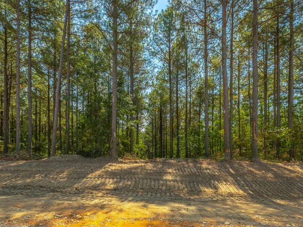 0 Constellation Ct Lot 2039, Guild, TN 37340