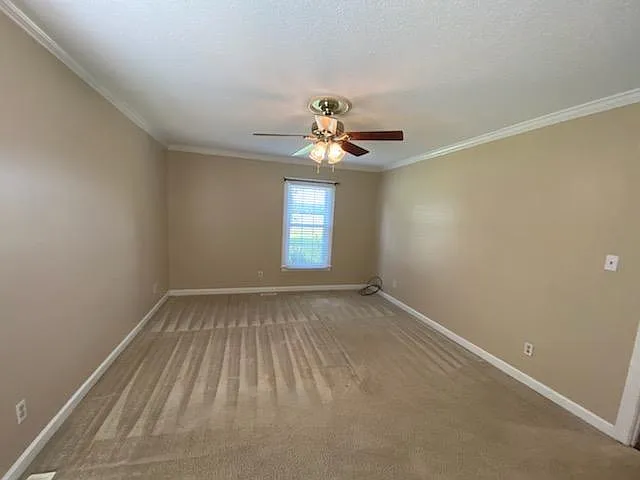 4251 Frog Level Rd — Photo 8