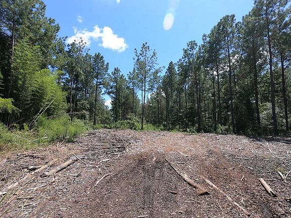 4th image of County Road 4916