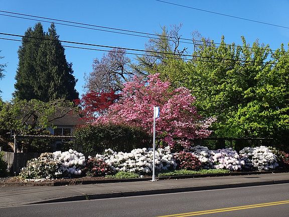 Home hidden from street