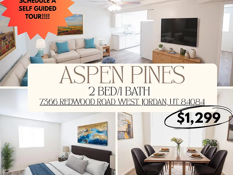 Aspen Pines — Photo 257